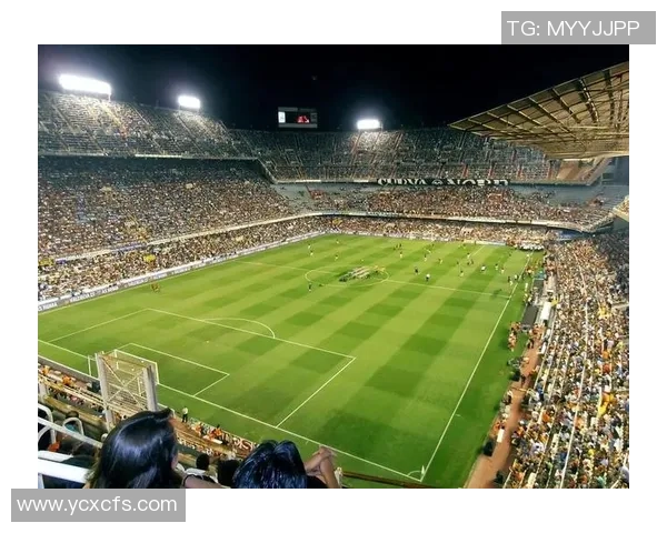 细数那些被誉为绿茵场上传奇巨星的足球星美称与背后故事